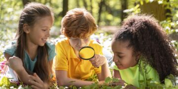 Dia Mundial do Meio Ambiente: a educação como ferramenta de transformação
